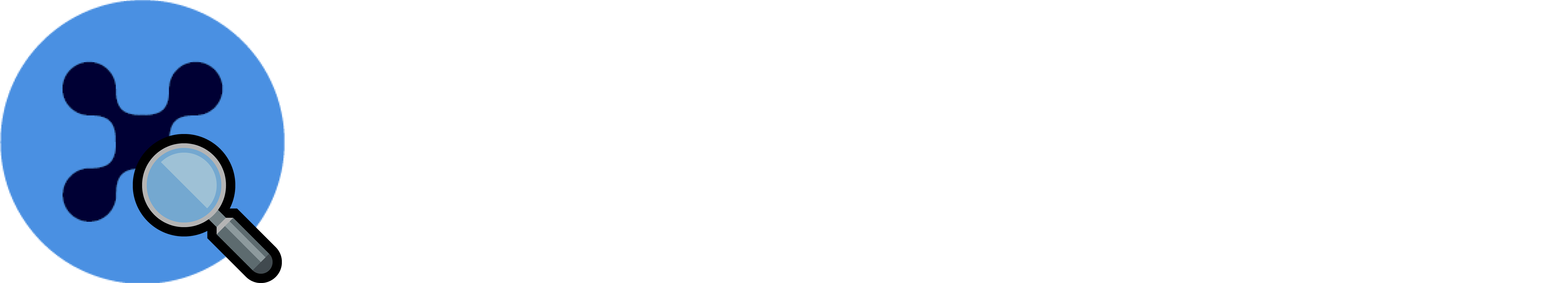 nanexplorer logo logo