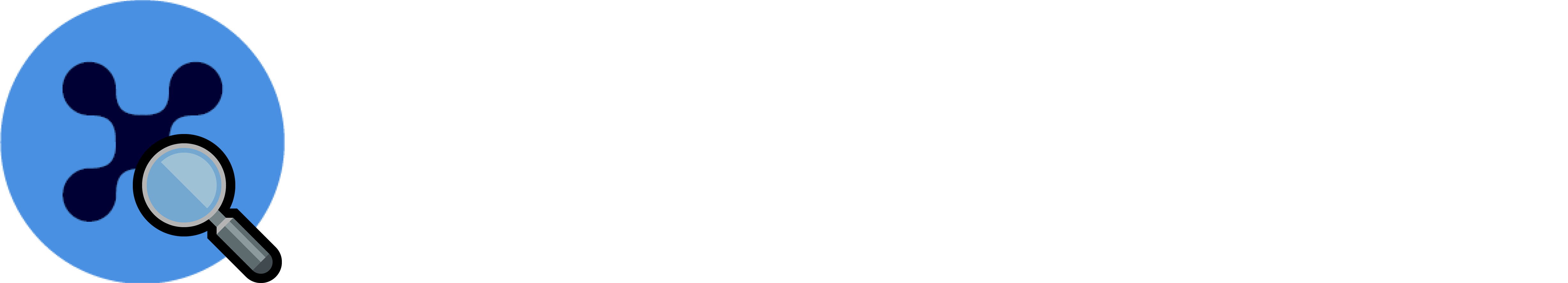 Nanexplorer logo